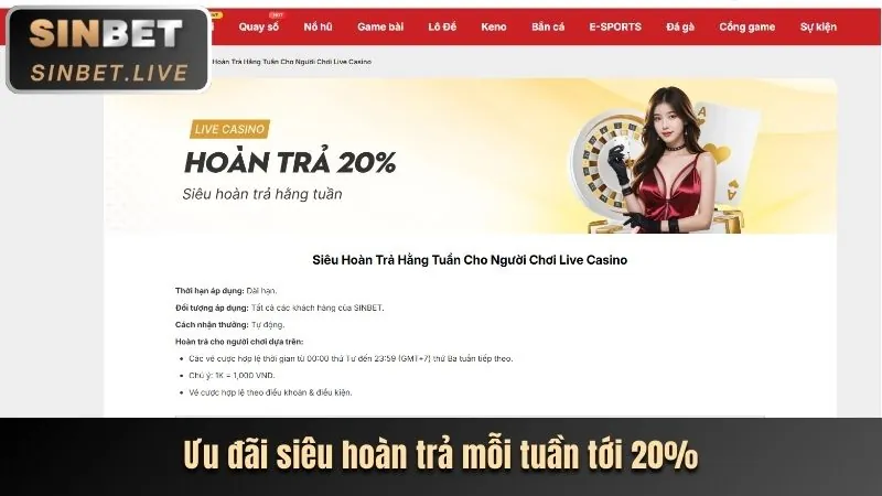 Kế hoạch phát triển của 1xBet Casino